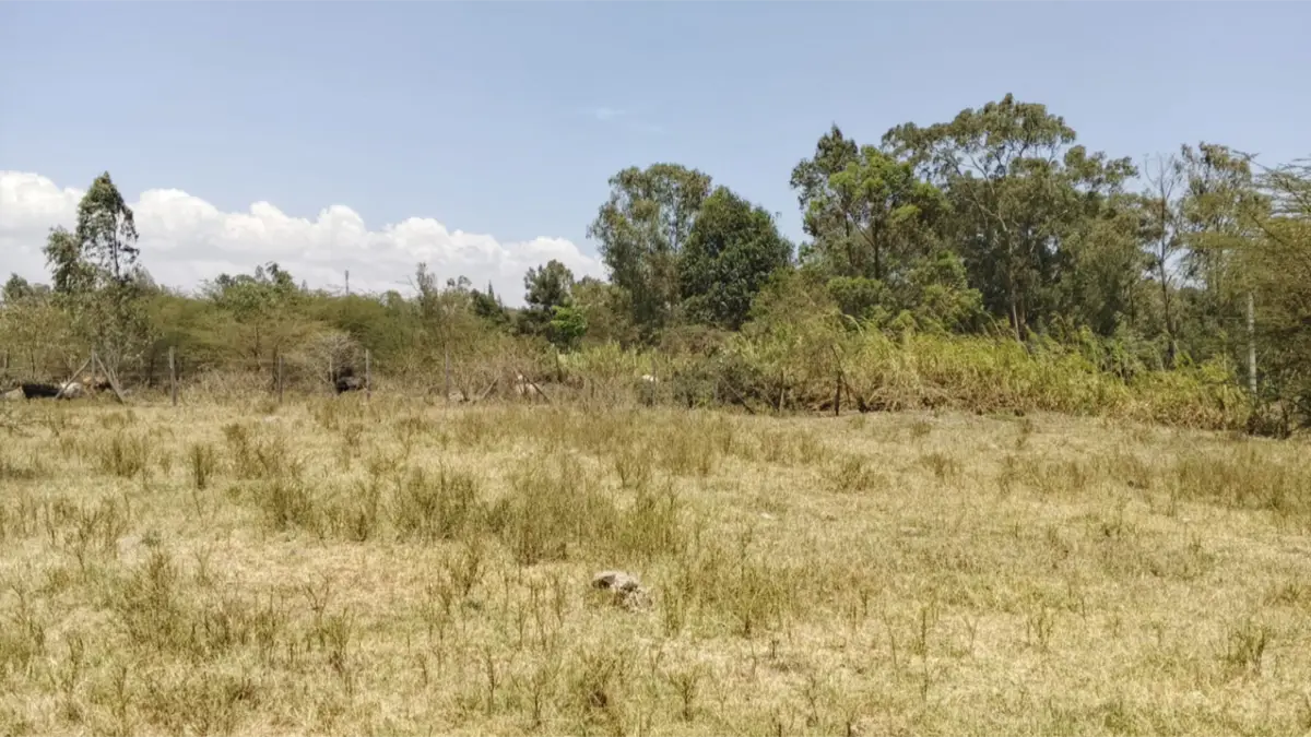 10 Acres in Windy Ridge, Karen