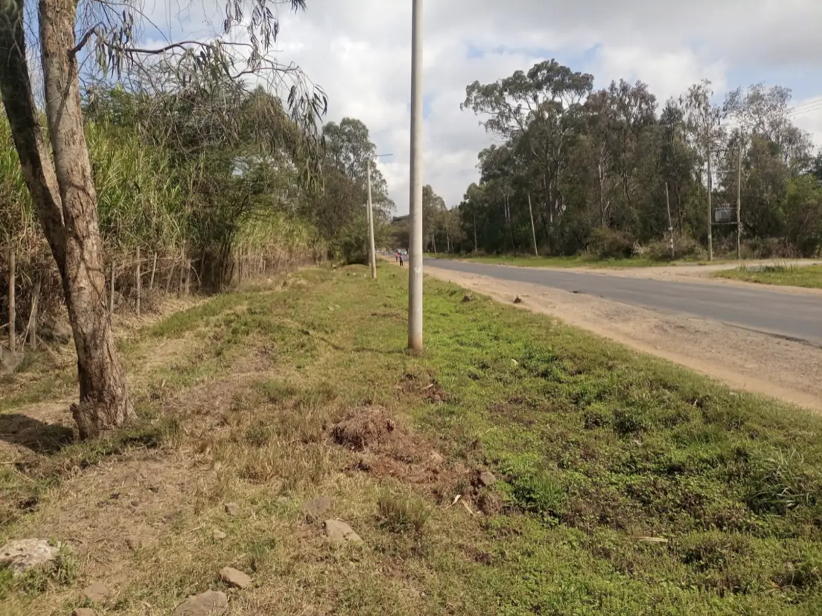 4 Acres Main Road Land Near The Hub
