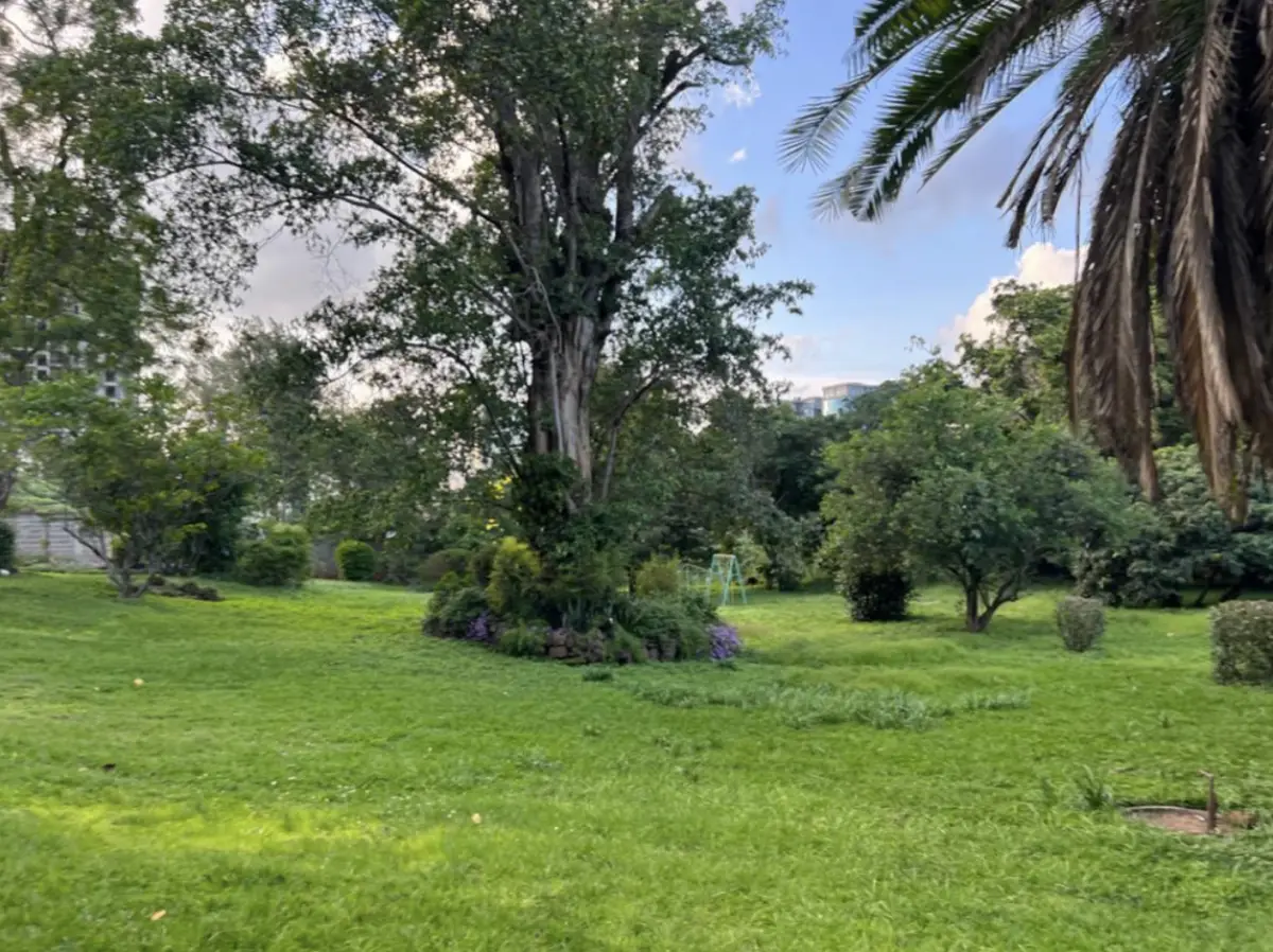 2.6-Acre Commercial Property