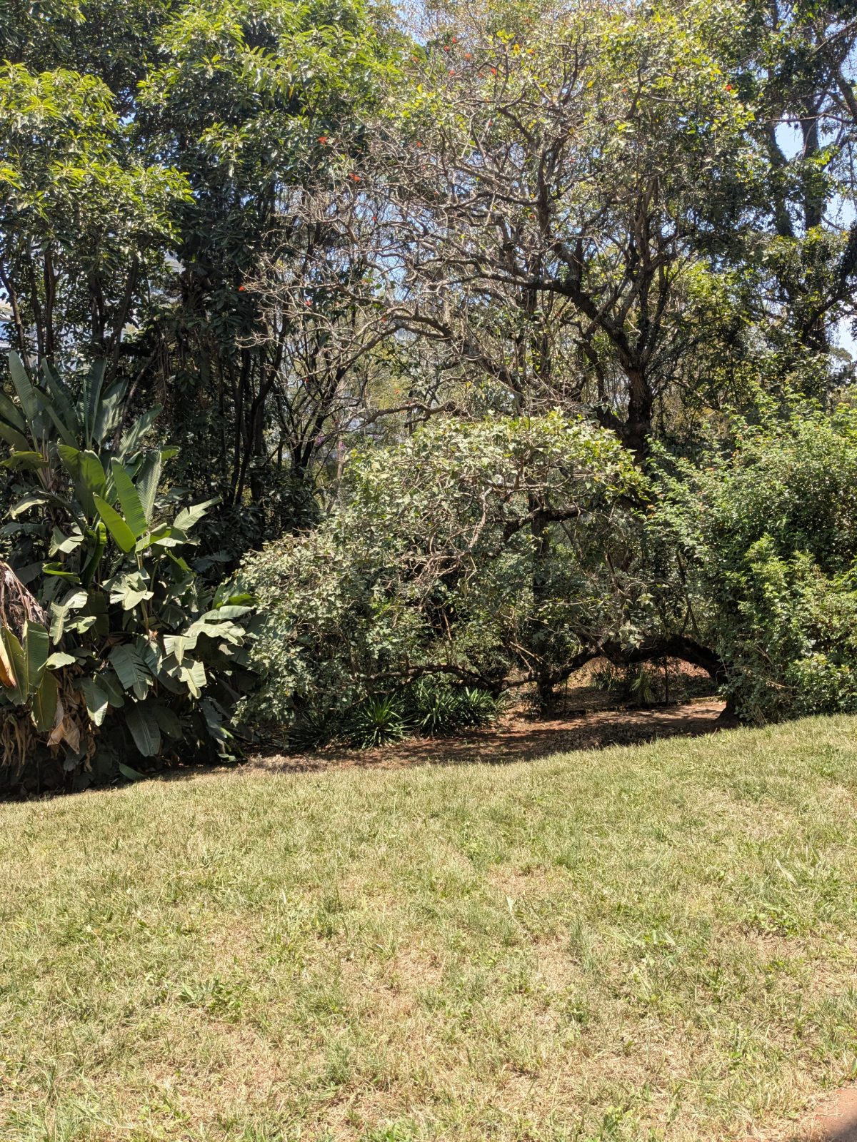 2-Acre Prime Property in Westlands