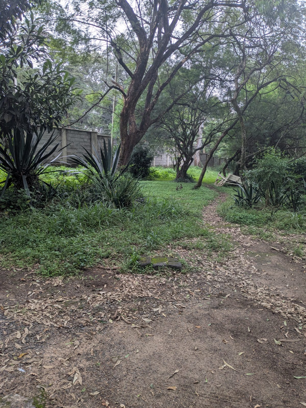 Prime 8.83-Acre Investment Estate with Existing Apartments in State House Area