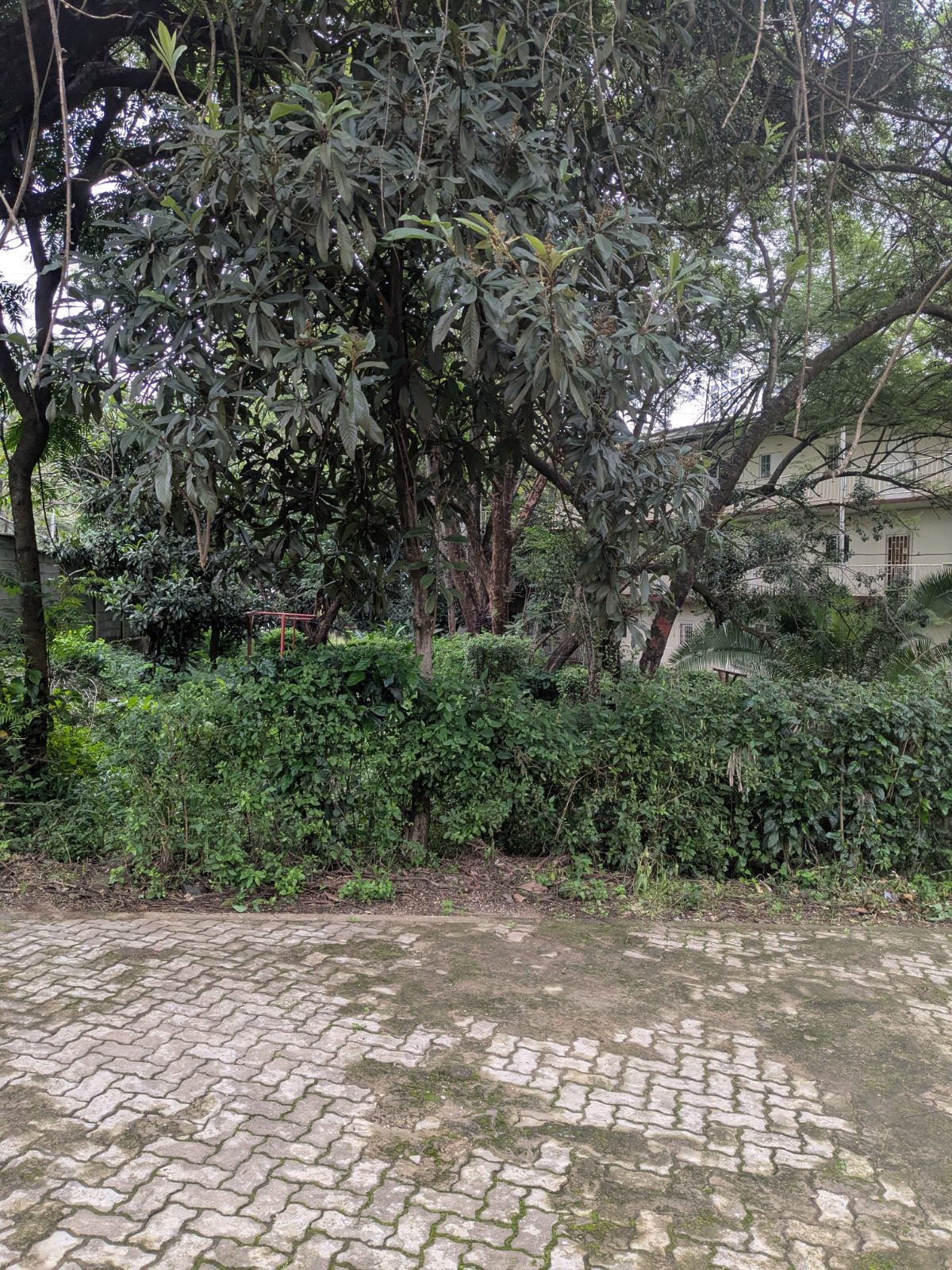 Prime 8.83-Acre Investment Estate with Existing Apartments in State House Area