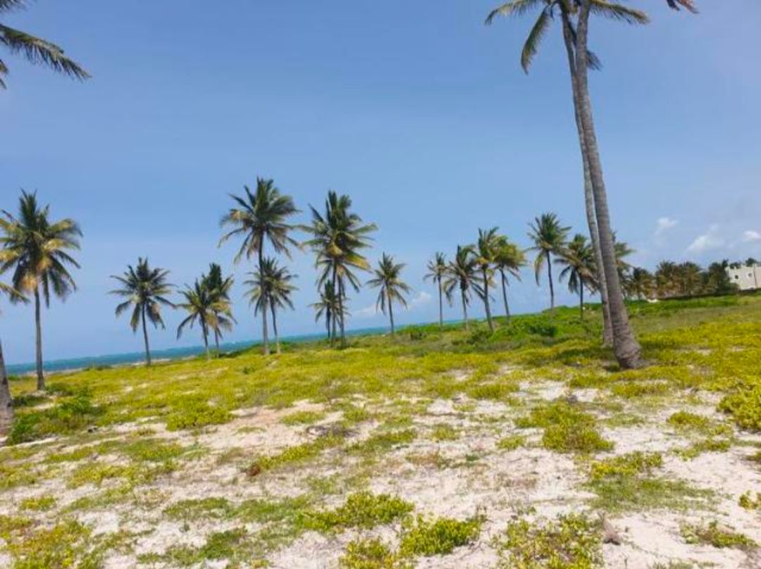 10-Acre Prime Beachfront Investment Property – Watamu Kenya